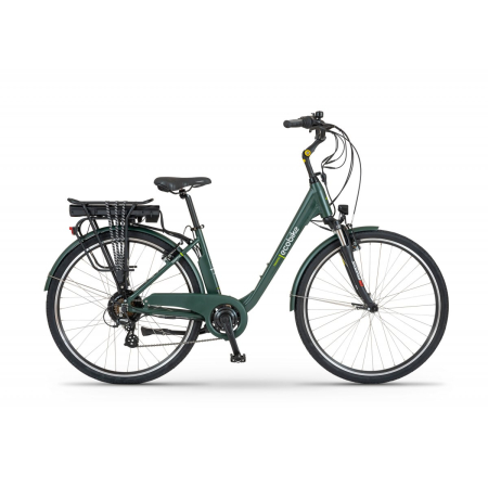 Rower Elektryczny Ecobike Traffic Dark Green